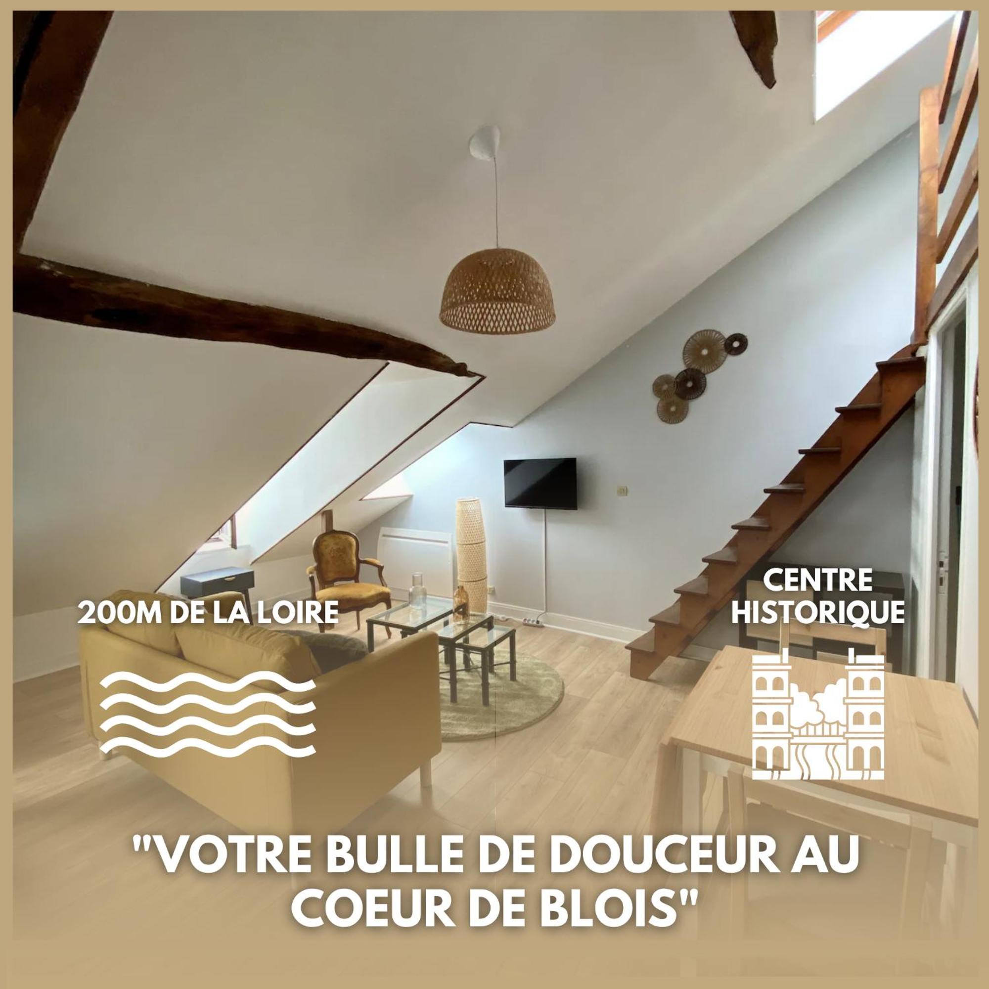 Le Cocon - Appartement En Hyper Centre Blois Exterior photo